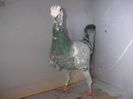 SANY0068