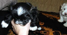 Picture 029