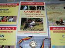 DSC04606