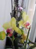 DSCN4465