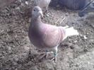 95310669_EYCWRGG