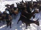 IMG_20140206_122357