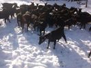 IMG_20140206_122341