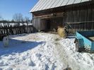 IMG_1248