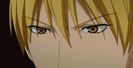 kise 19