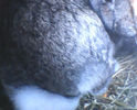 IMG0080A