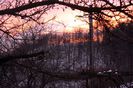 IMG_1000