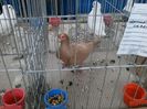 P08-02-14_12.53[04]