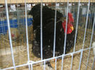 S8305177
