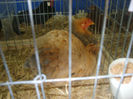 S8305181
