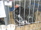 S8305201