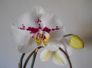 DSCN0369_011