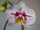 DSCN0371_013