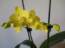 DSCN0373_015
