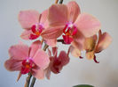 DSCN0375_017