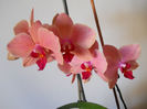DSCN0376_018
