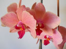 DSCN0377_019