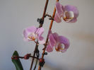 DSCN0379_021