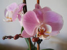DSCN0380_022