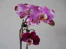 DSCN0381_023