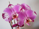 DSCN0382_024