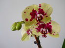 DSCN0384_026