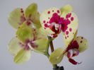 DSCN0386_028