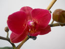 DSCN0388_030
