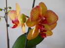 DSCN0390_032