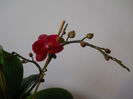 DSCN0387_029