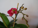 DSCN0389_031