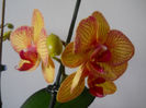 DSCN0392_034