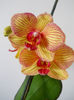 DSCN0393_035