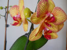 DSCN0394_036
