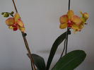 DSCN0396_038