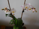 DSCN0397_039