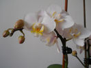 DSCN0399_041
