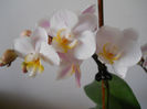 DSCN0400_042