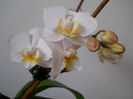 DSCN0401_043
