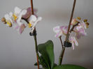 DSCN0402_044