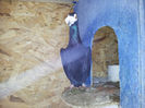 IMG_20140209_104204