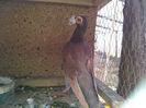 IMG_20140209_104456