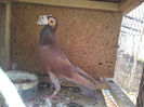 IMG_20140209_104518