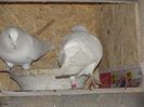 DSC00638
