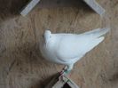 DSC00644