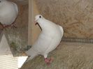 DSC00645