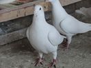 DSC00648