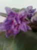 Imagine3965_1