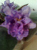 Imagine3963_1