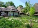 DSC01472 (1)